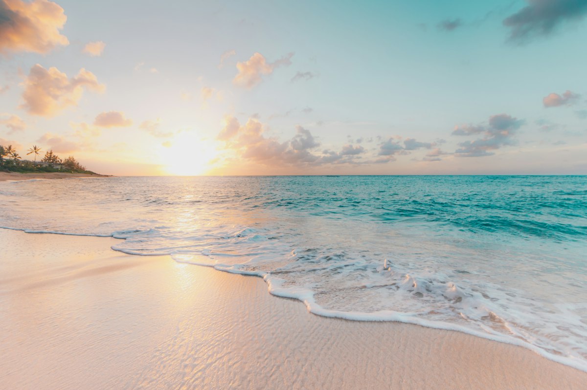 When is the Absolute Best Time to Book International Flights?